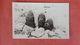 RPPC  > Giant Cactus   Ref --2500 - Cactus