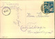 1950, 12 Pfg. Frieden Auf Postkarte Ab WERNIGERODE - Sonstige & Ohne Zuordnung