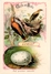 Delcampe - 25 Cards Chromo Litho C1895  Ordre Des Chanteurs Birds With  Their Nests And  Eggs La Grue Crane Kestler Reed Warbler - Animals