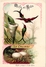 Delcampe - 25 Cards Chromo Litho C1895  Ordre Des Chanteurs Birds With  Their Nests And  Eggs La Grue Crane Kestler Reed Warbler - Animals