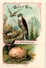 Delcampe - 25 Cards Chromo Litho C1895  Ordre Des Chanteurs Birds With  Their Nests And  Eggs La Grue Crane Kestler Reed Warbler - Animals