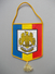 - FANION: ARMATA ROMANIEI - ROMANIA - - Banderas