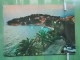 16 Postcard CAVTAT CROATIA - KOV 1035 - 5 - 99 Cartoline
