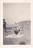 26115 Quatre Photo Erquy (22 France ) (sans Doute?) -la Plage 1937 -Rennes 35 Enfant  Villa Famille -plongeon Chien - Orte