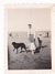 Delcampe - 26115 Quatre Photo Erquy (22 France ) (sans Doute?) -la Plage 1937 -Rennes 35 Enfant  Villa Famille -plongeon Chien - Orte