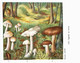 CHAMPIGNON ... PUBLICITE POLYMYXINE B ... TRICHOLOME ET COLOMBETTE - Pilze