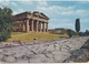 PAESTUM, Tempio Di Nettuno E La Basilica, Used Postcard [19618] - Salerno