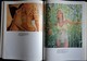 Delcampe - Michael Colmer - Bathing Beauties - Sphere Books LTD - ( 1977 ) . - Photographie
