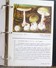 TOP Classeur 40 Fiches Fiche Litho Illustrateur Globus ? CHAMPIGNON CHAMPIGNONS EDITE PAR STATION ESSENCE TOTAL - Collections