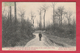 Panorama Du Grand Bois De L'Ermitage Et Des Routes Pour Pecq Et Obigies ,venant Du Mont-de-Trinité - 190?( Voir Verso ) - Tournai