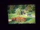 Diapositive Slide Diapo 1968 Italie Italy Turin Parc Du Valentino N2 - Diapositive