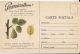 56987- SAN JOSE SCALE, PEAR DISEASE, PESTS ADVERTISING, AGRICULTURE - Cultures