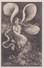 Cartes 1905 SERIE PHOTO REUTLINGER ET JOHN LAURENT / FEMME EN PAPILLON - Artiesten