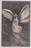 Cartes 1905 SERIE PHOTO REUTLINGER ET JOHN LAURENT / FEMME EN PAPILLON - Artistes