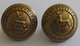 2 Buttons Bedfordshire And Hertfordshire Regiment  - 19mm, J.R. Gaunt & Son, London - 4 Scans - Boutons