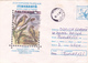 BV6816  ERROR, BIRDS, RARE COVERS STATIONERY,SHIFTED PICTURE, 1995 ROMANIA. - Errors, Freaks & Oddities (EFO)