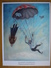 "DED AND BABA" By Davidovitch-Zosin - Modern Postcard -2000s- Humour -  PARACHUTTING - Fallschirmspringen