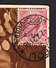 Poste Italiane Stamps With Libia Overprints On Postcard Tripoli Lybia To Argentina 1921 Postale Carte PC CPA Postkarte - Libya