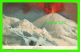 Delcampe - LOTS - 5 CARTES DE DELPHIS - MOUNT VESUVIUS IN ERUPTION - SÉRIES 60- 1-2-3-5-6- - UNDIVIDED BACK - - 5 - 99 Cartes