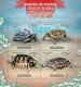 Uganda. 2013 Turtles. Sheet Of 4v + Bl (102) - Turtles