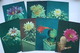 FLEURS / CACTUS . OLD  USSR PC Set  - 22 Postcards - 1984 - Cactus