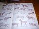 Top Livre A Hundred Horses By Juliet Mc Leod Nombreuses Gravures Dessins Chevaux - Cheval - Culture