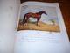 Top Livre A Hundred Horses By Juliet Mc Leod Nombreuses Gravures Dessins Chevaux - Cheval - Culture