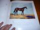Delcampe - Top Livre A Hundred Horses By Juliet Mc Leod Nombreuses Gravures Dessins Chevaux - Cheval - Cultura
