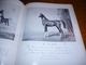 Delcampe - Top Livre A Hundred Horses By Juliet Mc Leod Nombreuses Gravures Dessins Chevaux - Cheval - Culture