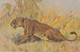 Cartolina - Postcard -  CON  SOGGETTO ANIMALE - LEONE- MADE IN SWITZERLAND - Leoni