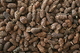 Alder Cones 30 G ~150pcs Low Ph Tannins/ Anti-bacterial / Natural/ Shrimps /Fish - Fischerei