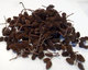 Alder Cones 75 G ~430 - 500 Pcs Low Ph Tannins/ Anti-bacterial / Natural/ Shrimps /Fish - Fishing