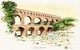 REPRO AQUARELLE  LE PONT DU GARD    PEINTRE A HUGUES Papier Fort EDIT ATLAS - Aquarelles