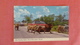 Lion Country Safari  Classic Autos  Florida > West Palm Beach     Ref 2519 - West Palm Beach