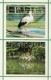 Stork - Flamingo - Kiev Kyiv Zoo - 1976 - Ukraine USSR - Unused - Oiseaux