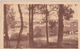 29.  TREBOUL . 2 CPA . 1. VERSION TRES RARE DE L'ILE TRISTAN. ENFANTS AU PREMIER PLAN. 2.LES VILLAS A TRAVERS LES PINS - Tréboul