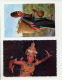 Delcampe - Lot 100 Cartes Postales Modernes Et Semi-modernes - Monde TBE - 100 - 499 Postcards