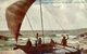 Outrigger Fishing Canoe With Full Sails Colombo CEYLON SRI LANKA - Sri Lanka (Ceilán)