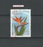 Variétés 1973 N° 571 ALGÉRIE FLEURS  STRELITZIA REGINAE 1 D 15  OBLITÉRÉ  1.25 € - Algerien (1962-...)