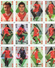 Jeu De Cartes Officiel Des Diables Rouges Officieel Kaartspel Rode Duivels (vers 1995/2000) - 54 Cartes