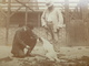 Delcampe - CHASSE CHASSEURS  PHOTO 9 X 8 - Alte (vor 1900)