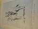 Delcampe - Annuaire Illustré De L'Armée Française/ Roger De Beauvoir /Plon-Nourrit éditeurs/dUBONNET:AmerPICON/1902    LIV113 - Otros & Sin Clasificación