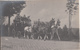 Attelage De Chevaux - Animée - à Situer - Paardenkoets - Te Situeren - Carte-photo - Fotokaart - Autres & Non Classés