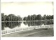 Nivelles Etang Du Parc ( Griffe Postale ) - Nijvel