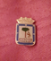 ATLETICO MADRID CF, ORIGINAL PIN, BADGE, SPAIN ESPAÑA, FOOTBALL SOCCER - Fútbol