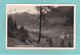 Old/Antique? Postcard Of Neustift Im Stubaital, Tyrol, Austria,R20. - Neustift Im Stubaital