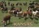 Kansas - EEUU - Kansas City – Kansas