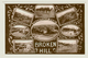Australia, NSW, Broken Hill, Mines, Township, Steam Tram, Camel Train, Photo Postcard - Broken Hill