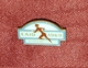 EAID BEOGRAD 1969. BELGRADE- ORIGINAL VINTAGE RARE PIN BADGE MADE BY BERTONI MILANO - Atletica