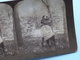 DOES YOU LOVE ME HUN ? " Stereo Photo R.Y. YOUNG " 1898 ( Voir Photo Pour Detail ) !! - Photos Stéréoscopiques